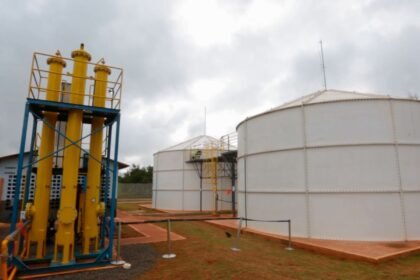 gas-natural:-conselho-fixa-meta-de-descarbonizacao-do-setor-para-0,5%