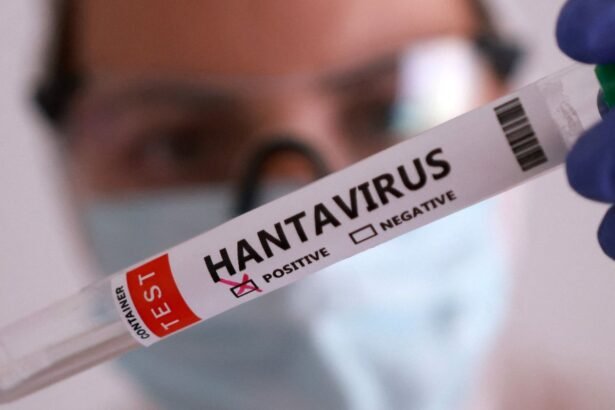 duas-pessoas-retiradas-de-navio-testam-positivo-para-o-hantavirus