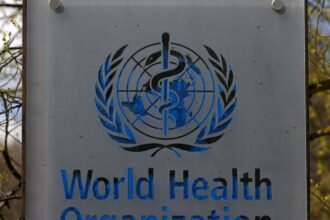 hantavirus:-oms-confirma-oito-casos-de-cepa-que-causou-surto-em-navio