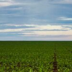 fazenda-estuda-fundo-garantidor-para-dividas-rurais