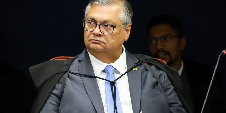dino-da-10-dias-para-governo-mostrar-plano-de-combate-a-incendios