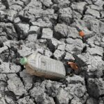 australia-afirma-que-el-nino-deve-ser-o-mais-forte-das-ultimas-decadas
