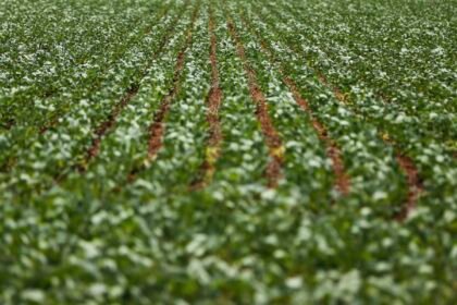 entenda-impasse-entre-bancada-do-agro-e-governo-sobre-dividas-rurais