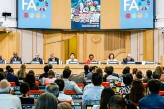 brasil-continua-fora-do-mapa-da-fome,-aponta-relatorio-da-onu