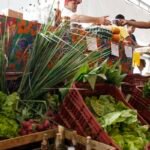 decreto-adia-exigencia-de-cnpj-para-autonomos-e-produtores-rurais