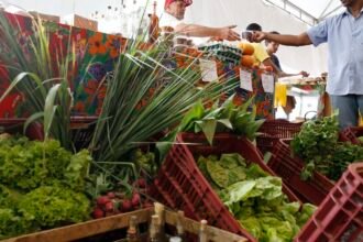 decreto-adia-exigencia-de-cnpj-para-autonomos-e-produtores-rurais
