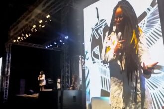 racismo-foi-reduzido-a-chamar-alguem-de-macaco,-critica-escritora