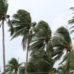 ventos-provocam-danos-na-costa-verde-e-na-regiao-serrana-do-rj