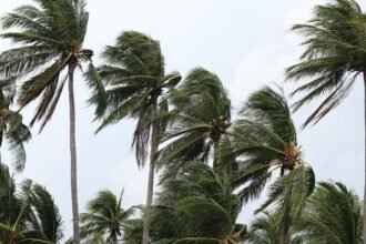 ventos-provocam-danos-na-costa-verde-e-na-regiao-serrana-do-rj