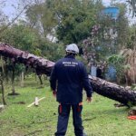 sul,-sudeste-e-centro-oeste-tem-alerta-para-tempestades-e-vendavais
