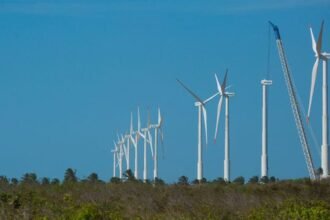 projeto-mapeia-caminhos-para-economia-verde-no-nordeste
