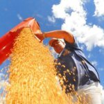 ibc-br-recuou-0,6%-em-junho,-diz-banco-central