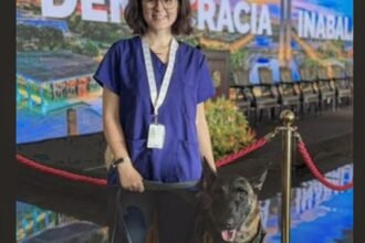 morre-veterinaria-atacada-por-cachorro-no-canil-do-senado-federal