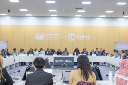 cop17-caminha-para-novo-adiamento-de-acordo-de-combate-as-secas