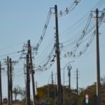 em-5-anos,-furto-de-fios-de-cobre-no-rio-deu-prejuizo-de-r$-69-milhoes