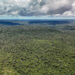 fazenda-autoriza-credito-de-us$-1-bilhao-do-bid-para-eco-invest-brasil